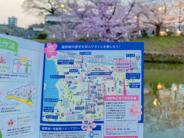 舞鶴公園桜スポット