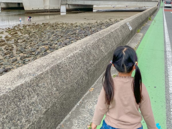 22年 室見川河口で潮干狩りしてきた 駐車場や降り方 ぷくとこ