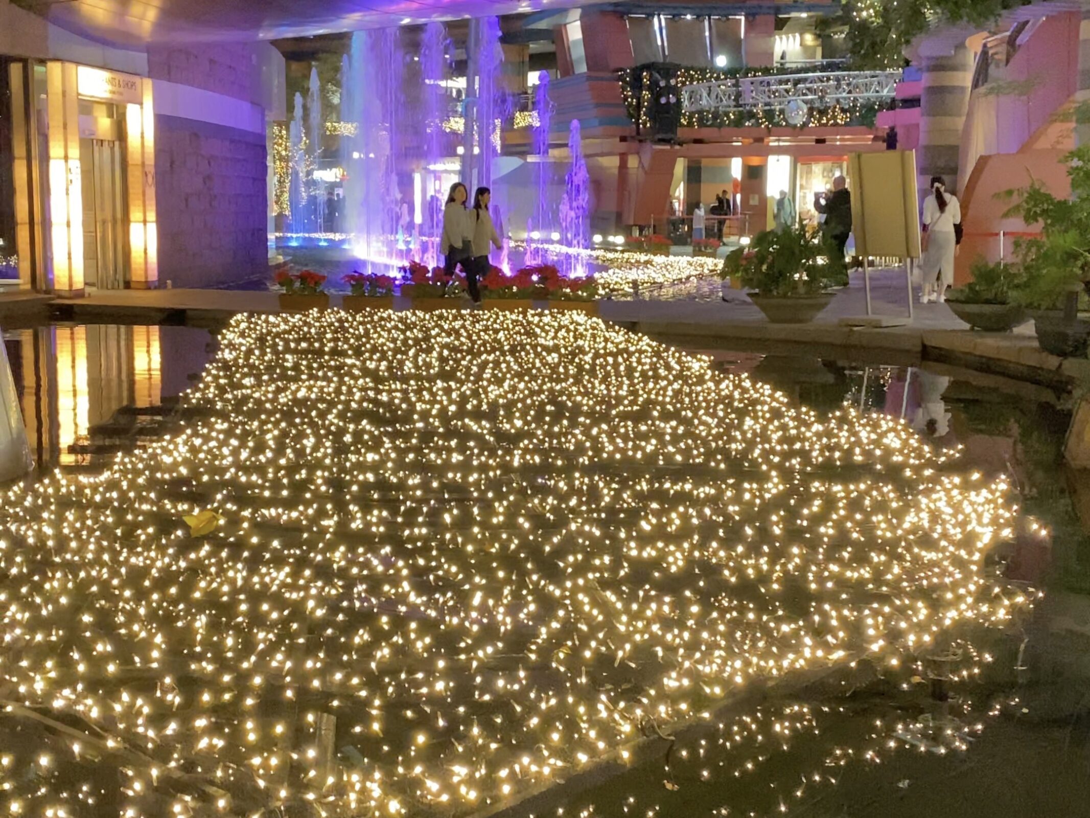 キャナルイルミ